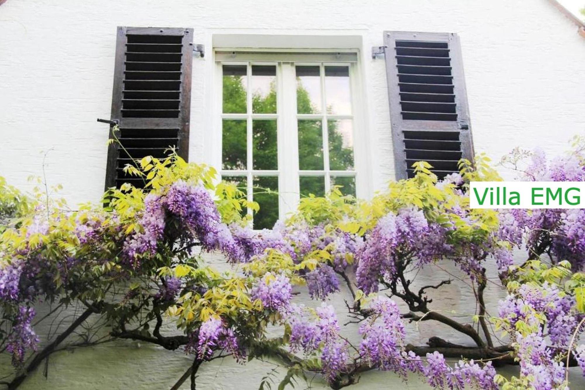 Luxury Family Holidays Villa In Emsdetten Munster Extérieur photo